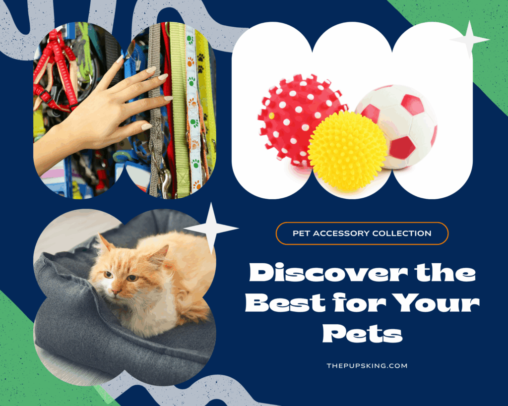 photo collage discover the best for your pets