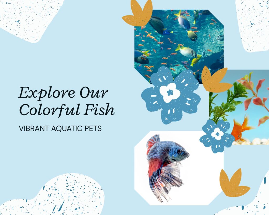 photo collage explore our colorful fish